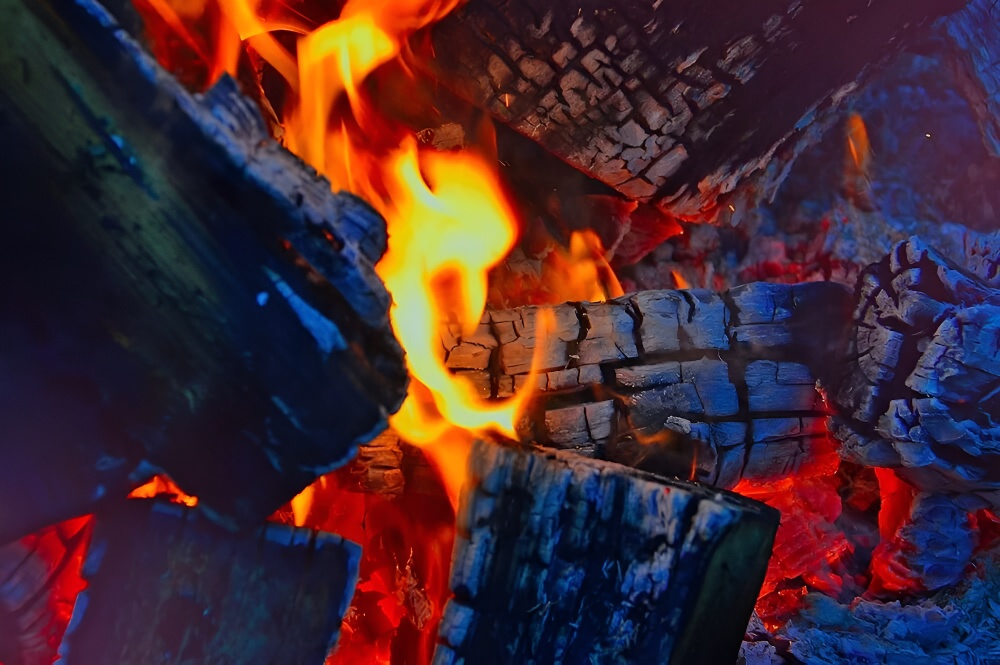 CARBONES Y LEÑA - JEJORJA S.L.